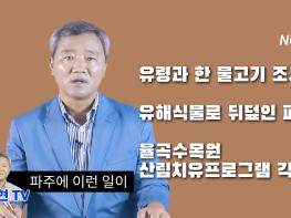 [김순현TV] NO.3 파주에 이런 일이 (유령과 한 물고기 조사 / 유해식물로 뒤덮인 파주 / 율곡수목원 산림치유프로그램 각광)기사 이미지