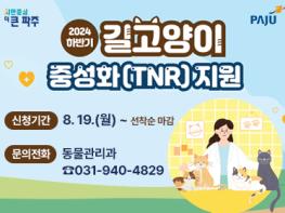 파주시, 하반기 길고양이 중성화 수술 사업 기사 이미지