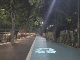 파주시 금촌2동, 느티나무길 도로 전면 보수 및 경관조명 설치 완료기사 이미지