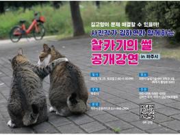 길고양이 편견 바로잡는다… 파주시, 25일 ‘길고양이 인식개선 교육’ 기사 이미지