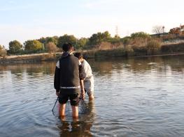 공릉천에서 만난 친구들 기사 이미지