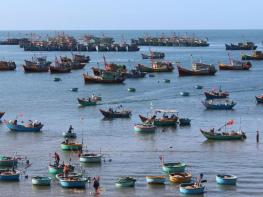 사진으로 보는 베트남 무이네( Mũi Né) 어촌마을 기사 이미지