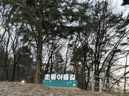 파주시 운정6동, 숲속 통학로 ‘초롱아름길’ 조성 기사 이미지