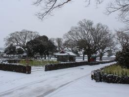 이른아침!  눈 내리는  백설(白雪)의 마을.... 기사 이미지