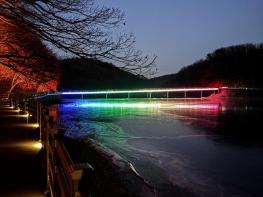 빛으로 새롭게 태어난 파주 공릉호수, 야간 명소로 거듭나다! 기사 이미지