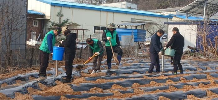 파주시 운정4동 새마을회, 봄맞이 감자심기 행사 개최