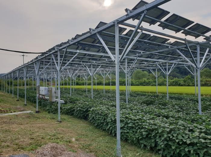 파주시, 전국 최초 「영농형 태양광 발전사업 지원 조례」 제정