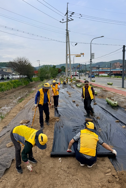 파주시 법원읍 실버경찰대 봉사단, 가야리 일대에 백일홍 씨앗 파종… 마을 꽃길 조성 나서