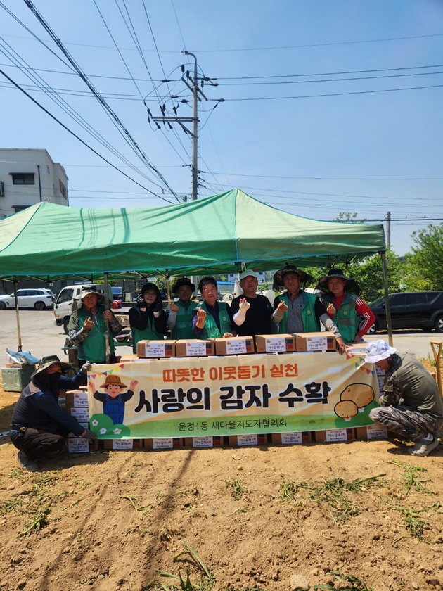 파주시 운정1동 새마을지도자협의회, 사랑의 감자 수확
