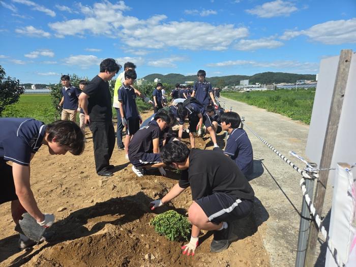 파주읍 주민자치회, 세경고 학생과 함께 국화꽃 심기 행사