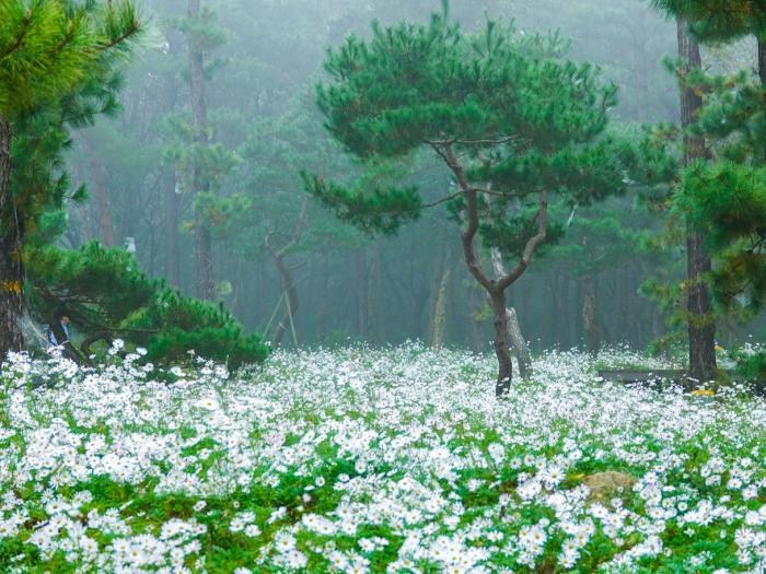 파주 율곡수목원, 가을맞이 ‘율곡힐링캠프’ 운영